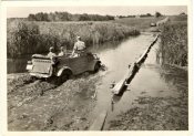 55 W-SSWikingkubelwagen.jpg