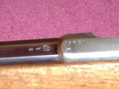 IMAG0115.jpg