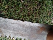 IMG_20250829_190938.jpg