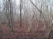 159_2276.JPG