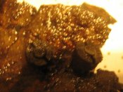 Изображение 292.jpg