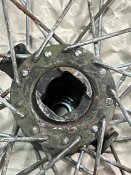 IMG_4968.jpeg