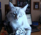 DSC08734.JPG