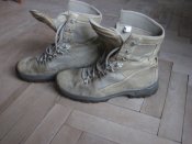 IMG_8584.jpg