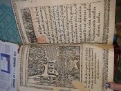 2014-01-09 11.19.43.jpg