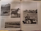 photo_2025-09-22_17-17-35 (4).jpg