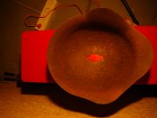 DSC00993.jpg