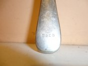 DSC05425.JPG
