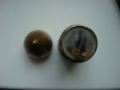 DSC01184.JPG