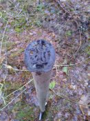 WP_000592.jpg