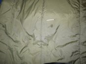 P1070921 ПЯТНО..JPG