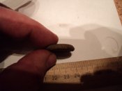 DSC01767.JPG