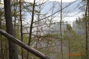 DSC_0304.JPG