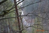 DSC_0316.JPG
