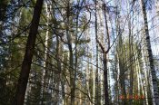 DSC_0366.JPG