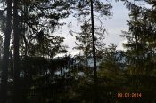 DSC_0378.JPG