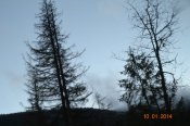 DSC_0702.JPG
