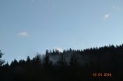 DSC_0706.JPG