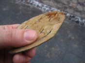 IMG_4150.JPG