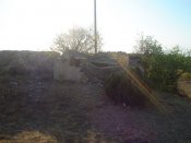 DSC02250.jpg