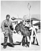 Ger-Paratrooper.jpg