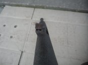 DSCN0430.JPG
