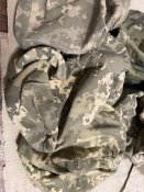 Бронік цікавий екземпляр