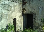 dsc01132.jpg