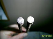 PIC_0552.jpg