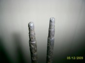 PIC_0555.jpg
