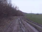 SDC14635.JPG