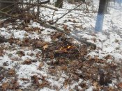 SDC14574.JPG