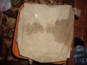SDC13525.JPG