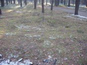 PC240128.JPG