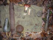 DSCN9786.JPG
