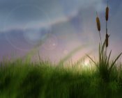 1231333644_evening_field_by_gingastar18.jpg