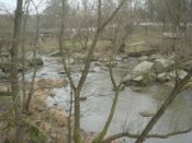 DSC08949.jpg