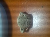 IMG-20140119-00042.jpg
