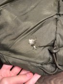 Форма зимова