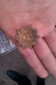 IMAG0306.jpg