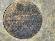 орчий шеврон