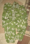 DSC06909.JPG