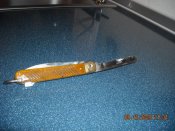 DSCN0241.jpg