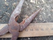 Довгогубці