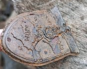 Щит за Крим.