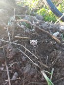 IMG_0645.jpeg