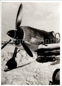 Flugzeug Fw190 Schlachtflieger Panzer winter5.jpg