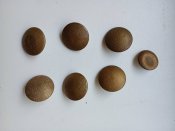 Пуговицы германия