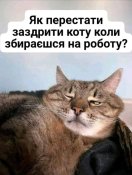 20260115_181213.jpg