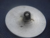 CIMG6769.JPG